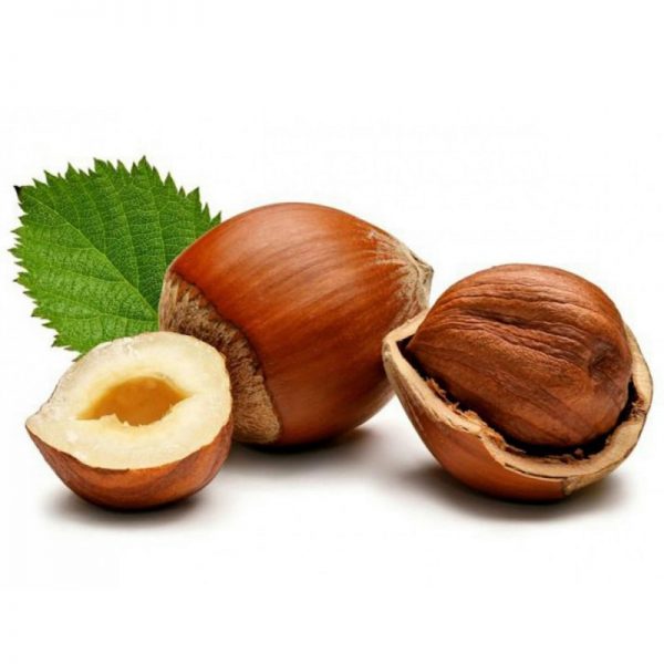 Chocolate Avellana